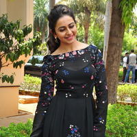 Rakul Preet Singh at Sarrainodu Press Meet Stills | Picture 1297263