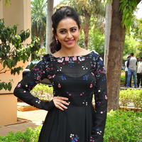 Rakul Preet Singh at Sarrainodu Press Meet Stills | Picture 1297265