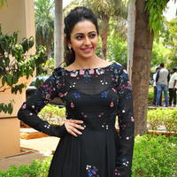 Rakul Preet Singh at Sarrainodu Press Meet Stills | Picture 1297266