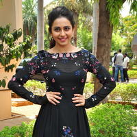 Rakul Preet Singh at Sarrainodu Press Meet Stills | Picture 1297269