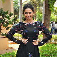 Rakul Preet Singh at Sarrainodu Press Meet Stills | Picture 1297271