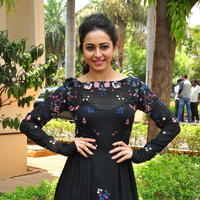 Rakul Preet Singh at Sarrainodu Press Meet Stills | Picture 1297272