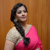 Varalakshmi at Nataraja Tanaya Raja Movie Audio Launch Photos | Picture 1297112