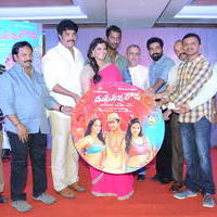 Nataraja Tanaya Raja Movie Audio Launch Stills | Picture 1297375