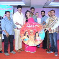 Nataraja Tanaya Raja Movie Audio Launch Stills | Picture 1297378