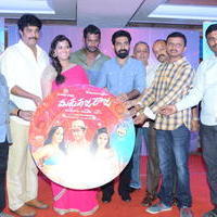 Nataraja Tanaya Raja Movie Audio Launch Stills | Picture 1297382