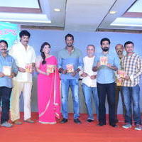 Nataraja Tanaya Raja Movie Audio Launch Stills | Picture 1297402
