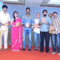 Nataraja Tanaya Raja Movie Audio Launch Stills | Picture 1297405