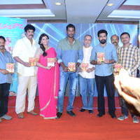 Nataraja Tanaya Raja Movie Audio Launch Stills | Picture 1297424