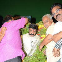 Balakrishna 100th Movie Gautamiputra Satakarni Launch Stills | Picture 1299321