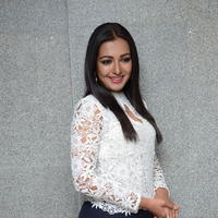 Catherine Tresa at Sarrainodu Movie Photos | Picture 1301950