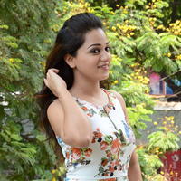 Reshma Rathore at Jeelakarra Bellam Movie Press Meet Photos | Picture 1302197