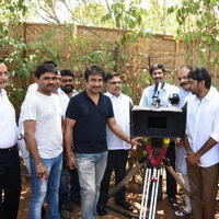 Allu Sirish New Movie Opening Stills | Picture 1302766