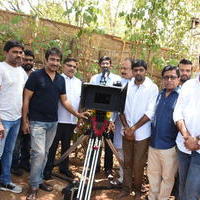 Allu Sirish New Movie Opening Stills | Picture 1302775