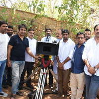 Allu Sirish New Movie Opening Stills | Picture 1302776