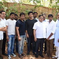 Allu Sirish New Movie Opening Stills | Picture 1302778