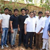 Allu Sirish New Movie Opening Stills | Picture 1302784