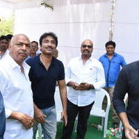 Allu Sirish New Movie Opening Stills | Picture 1302865