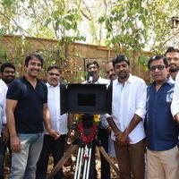 Allu Sirish New Movie Opening Stills | Picture 1302935