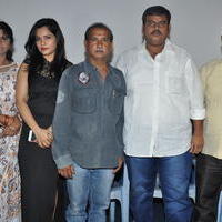 Kakateeyudu Movie Press Meet Photos | Picture 1371013