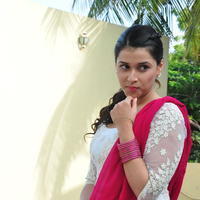 Mannara New Gallery | Picture 1376142