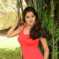 Poojitha New Gallery | Picture 1375544