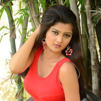 Poojitha New Gallery | Picture 1375602
