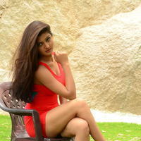 Poojitha New Gallery | Picture 1375604