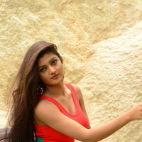 Poojitha New Gallery | Picture 1375618