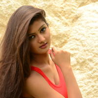 Poojitha New Gallery | Picture 1375620