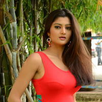 Poojitha New Gallery | Picture 1375662