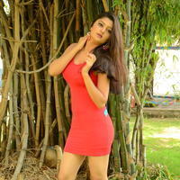 Poojitha New Gallery | Picture 1375690