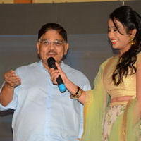 Srirastu Subhamastu Movie Thanks Meet Photos | Picture 1377210