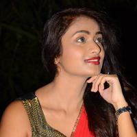 Kiran Chetwani New Photos | Picture 1377554