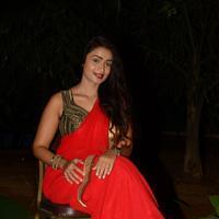 Kiran Chetwani New Photos | Picture 1377568