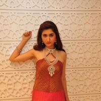 Harshada Patil Latest Gallery | Picture 1388373