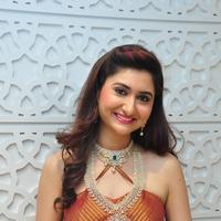 Harshada Patil Latest Gallery | Picture 1388442