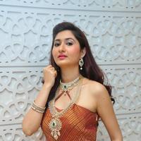 Harshada Patil Latest Gallery | Picture 1388482