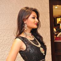 Nilofer New Photos | Picture 1388232