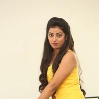 Tarunika New Photos | Picture 1388634