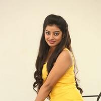 Tarunika New Photos | Picture 1388637