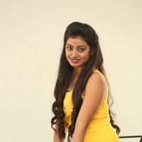 Tarunika New Photos | Picture 1388638