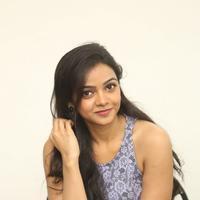 Nithya Shetty Latest Gallery | Picture 1389206