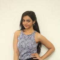 Nithya Shetty Latest Gallery | Picture 1389304