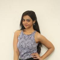 Nithya Shetty Latest Gallery | Picture 1389305