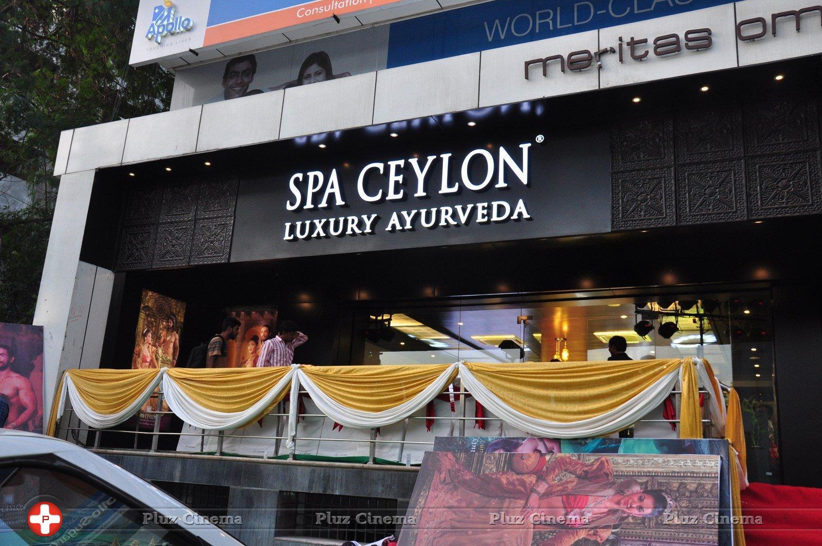 Spa Ceylon Luxury Ayurveda Curtain Raiser Photos | Picture 1393993