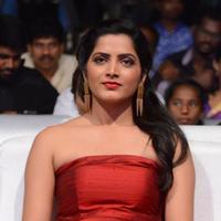 Pavani Latest Gallery | Picture 1391730