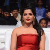 Pavani Latest Gallery | Picture 1391734