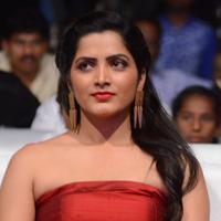 Pavani Latest Gallery | Picture 1391736