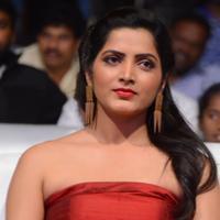 Pavani Latest Gallery | Picture 1391760